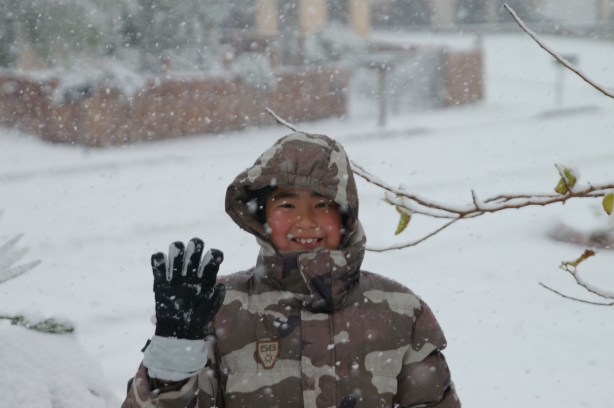 2008-snow-29 2008-snow-29